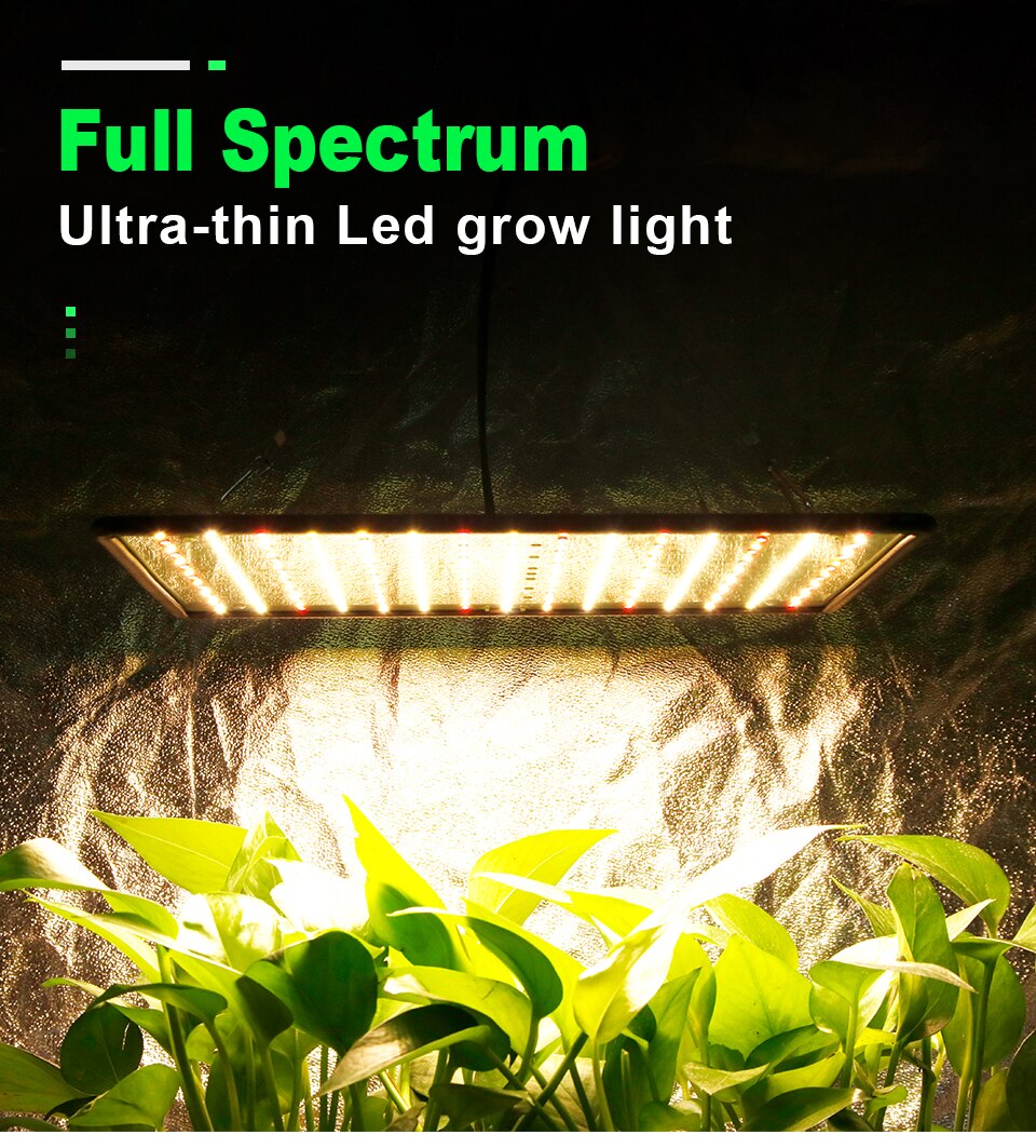 3500K Grow Tent Lamp 1000W LED Grow Light Panel