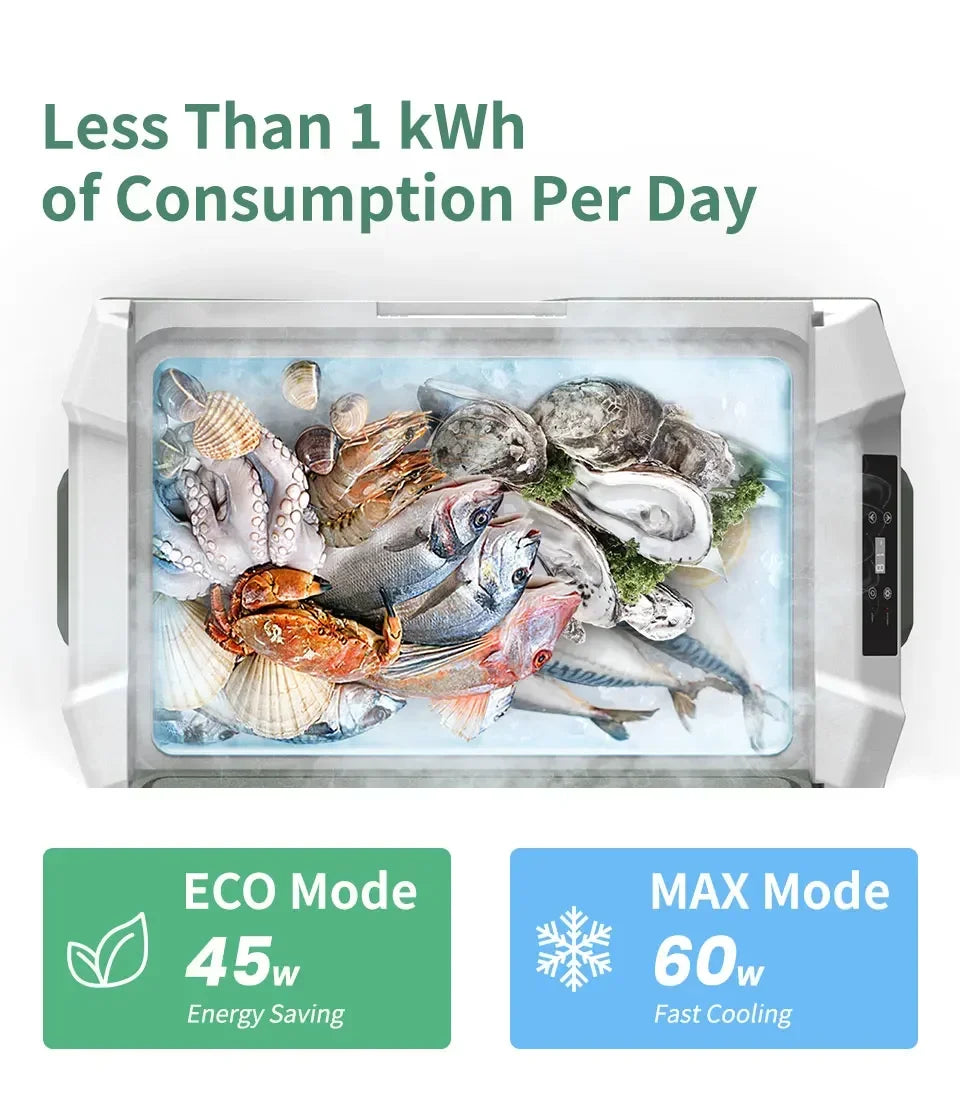 NL 25L, 35L, 45L Car Refrigerator with 12V Compressor - 12/24V DC and 100 - 240V AC Portable Cooler for Camping and Travel