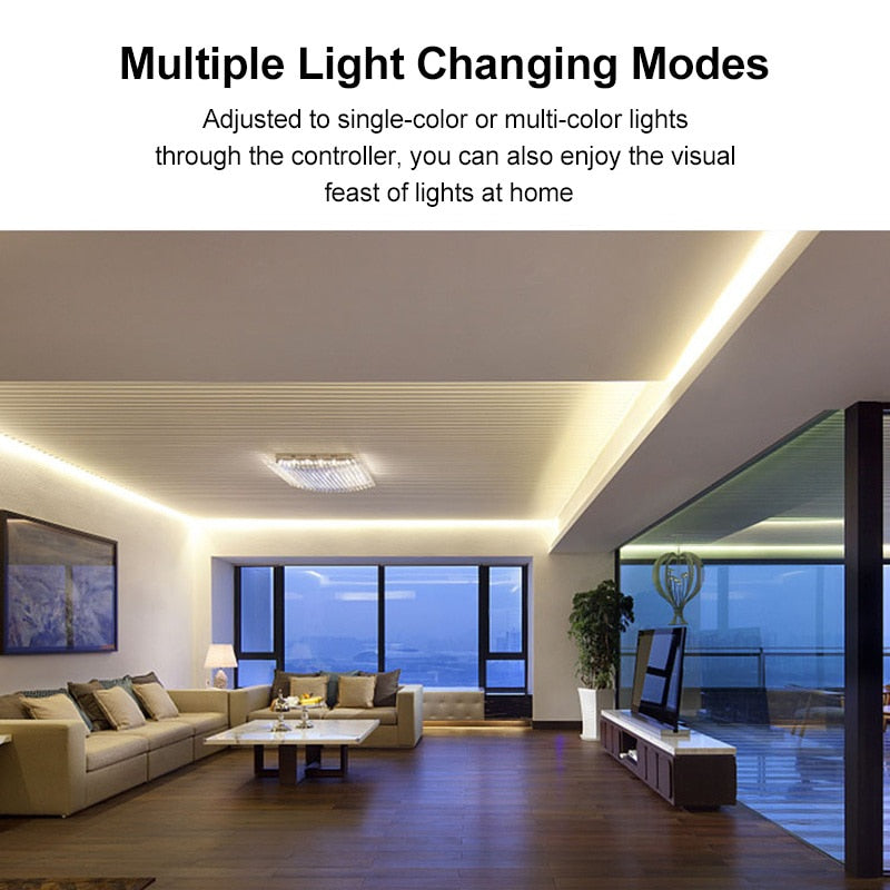 12vot 24-key Rf Wireless LED Remote Controller