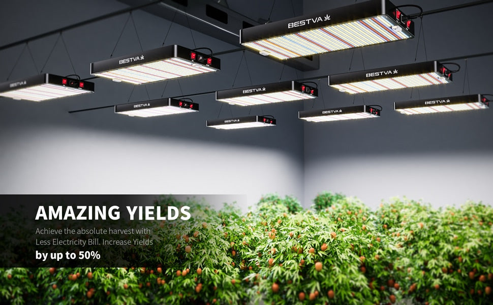 LED grow light 1000W 2000W 4000W Full Spectrum for indoor plants grow tent hydroponics