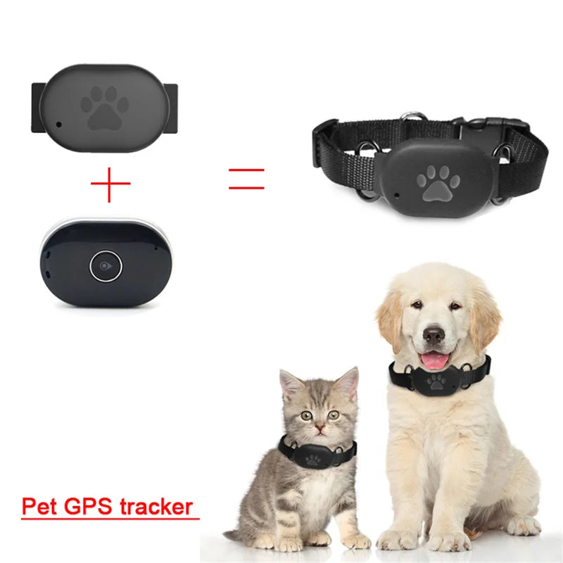 Pet GPS Tracking Locator with Collar Geo-fence SOS Alarm APP Control Cat Dog Anti-lost BDS/LBS/WIFI Intelligent 2G Signal Device