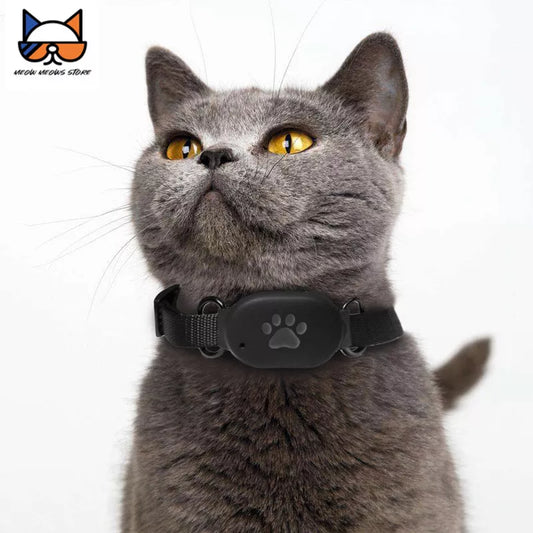 Pet GPS Tracking Locator with Collar Geo-fence SOS Alarm APP Control Cat Dog Anti-lost BDS/LBS/WIFI Intelligent 2G Signal Device